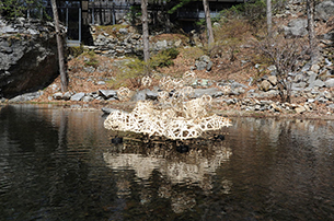 Socotra Studio, Socotra Island, Fabrication, Manitoga