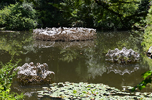 Socotra Studio, Socotra Island, Fabrication, Manitoga